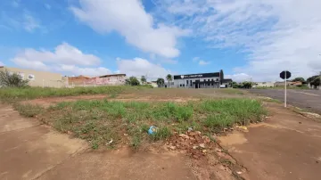 imagem 3 - Terreno - Área imagem 3 - Terreno - Área