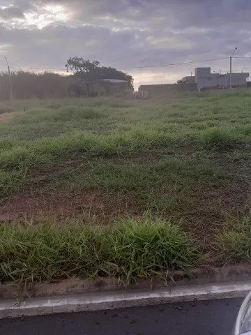 imagem 1 - Terreno - Padrão imagem 1 - Terreno - Padrão