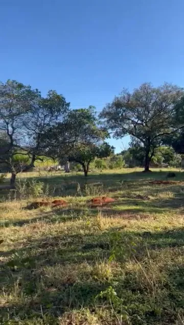 imagem 2 - Terreno Padrão imagem 2 - Terreno Padrão