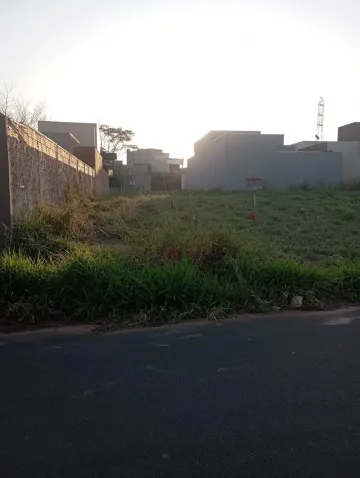 imagem 2 - Terreno - Padrão imagem 2 - Terreno - Padrão