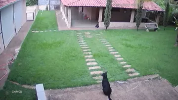 imagem 3 - Chácara - Chácara imagem 3 - Chácara - Chácara