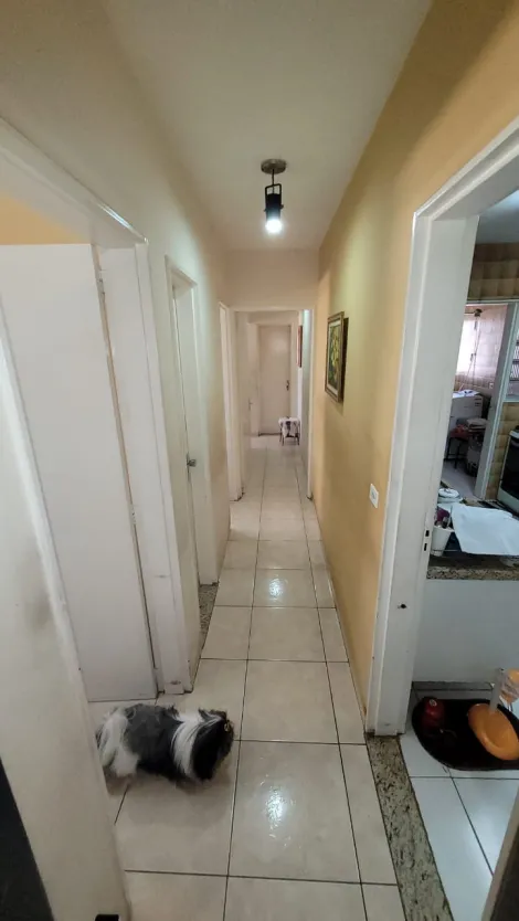 imagem 3 - Apartamento - Padrão imagem 3 - Apartamento - Padrão