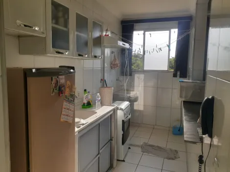 imagem 3 - Apartamento - Padrão imagem 3 - Apartamento - Padrão