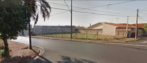 Alugar Terreno / Padrão em São José do Rio Preto. apenas R$ 750.000,00