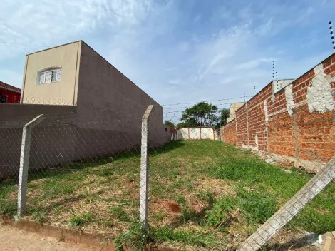 Alugar Terreno / Padrão em São José do Rio Preto. apenas R$ 3.000,00