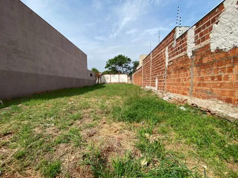 imagem 2 - Terreno - Padrão imagem 2 - Terreno - Padrão