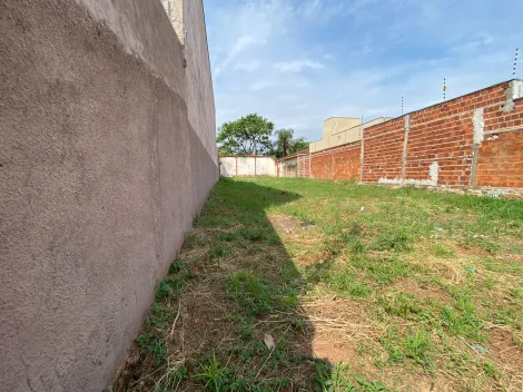 imagem 3 - Terreno - Padrão imagem 3 - Terreno - Padrão