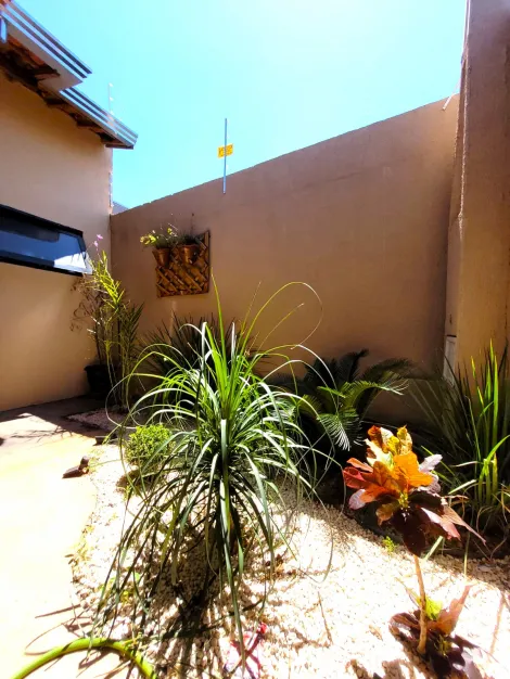 imagem 3 - Casa - Padrão imagem 3 - Casa - Padrão