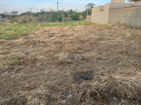 imagem 3 - Terreno - Padrão imagem 3 - Terreno - Padrão