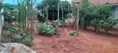 imagem 4 - Terreno - Padrão imagem 4 - Terreno - Padrão