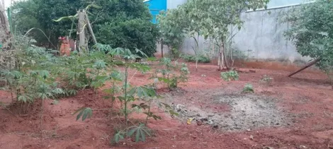 imagem 5 - Terreno - Padrão imagem 5 - Terreno - Padrão