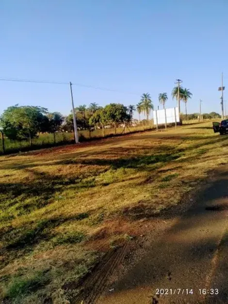 imagem 1 - Terreno - Área imagem 1 - Terreno - Área