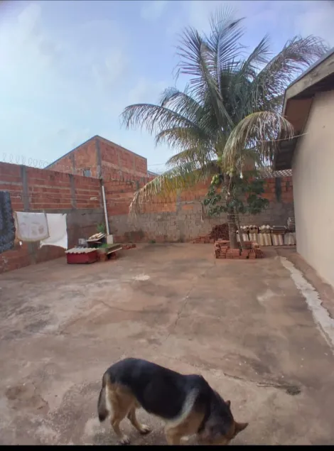 imagem 4 - Casa - Padrão imagem 4 - Casa - Padrão