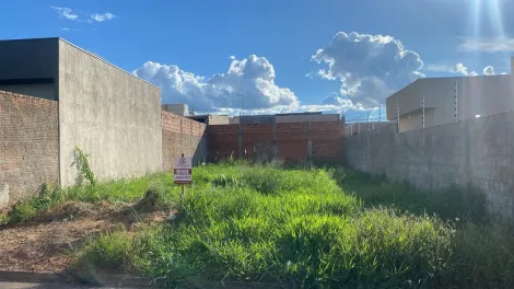 imagem 1 - Terreno - Padrão imagem 1 - Terreno - Padrão