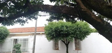 Alugar Casa / Padrão em São José do Rio Preto. apenas R$ 3.500,00