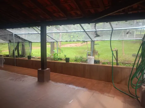 imagem 3 - Chácara - Chácara imagem 3 - Chácara - Chácara