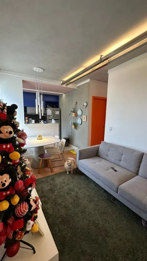 Alugar Apartamento / Padrão em São José do Rio Preto. apenas R$ 260.000,00