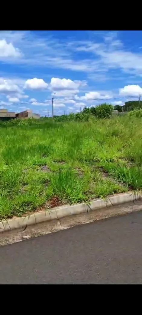 imagem 1 - Terreno - Padrão imagem 1 - Terreno - Padrão