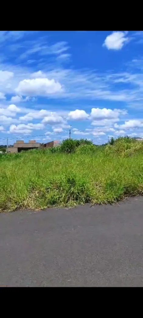 imagem 2 - Terreno - Padrão imagem 2 - Terreno - Padrão