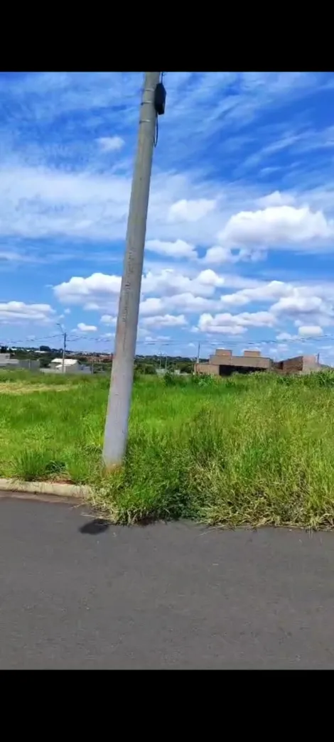 imagem 3 - Terreno - Padrão imagem 3 - Terreno - Padrão