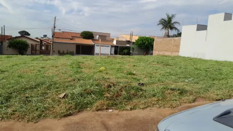 imagem 1 - Terreno - Padrão imagem 1 - Terreno - Padrão