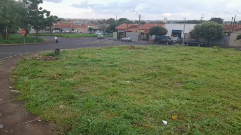 imagem 3 - Terreno - Padrão imagem 3 - Terreno - Padrão