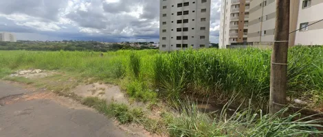 Alugar Terreno / Padrão em São José do Rio Preto. apenas R$ 2.250.000,00