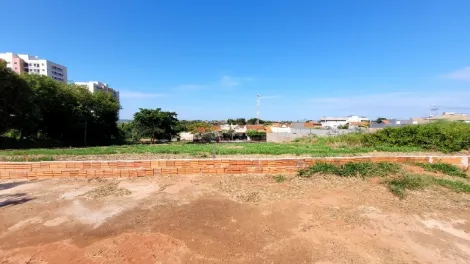 Alugar Terreno / Área em São José do Rio Preto. apenas R$ 14.000,00