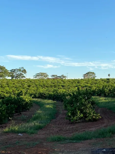 imagem 1 - Rural - Sítio imagem 1 - Rural - Sítio