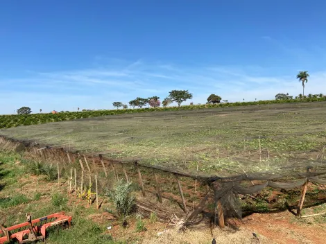 imagem 2 - Rural - Sítio imagem 2 - Rural - Sítio