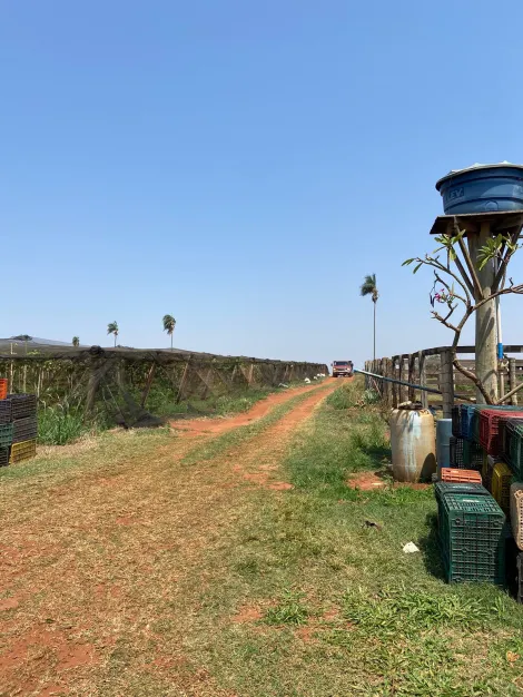 imagem 3 - Rural - Sítio imagem 3 - Rural - Sítio