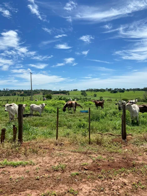 imagem 4 - Rural - Sítio imagem 4 - Rural - Sítio