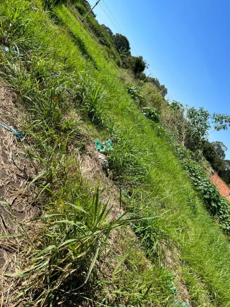 imagem 1 - Terreno - Padrão imagem 1 - Terreno - Padrão