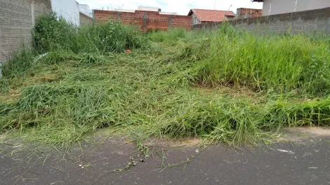 São José do Rio Preto - Residencial São Thomaz II - Terreno - Padrão - Venda