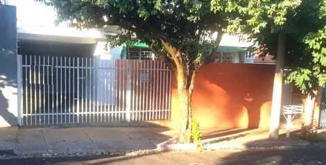 São José do Rio Preto - Vila Nossa Senhora Aparecida - Casa - Padrão - Locaçao / Venda