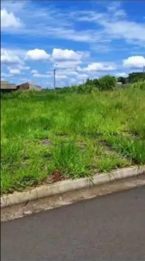 imagem 1 - Terreno - Padrão imagem 1 - Terreno - Padrão