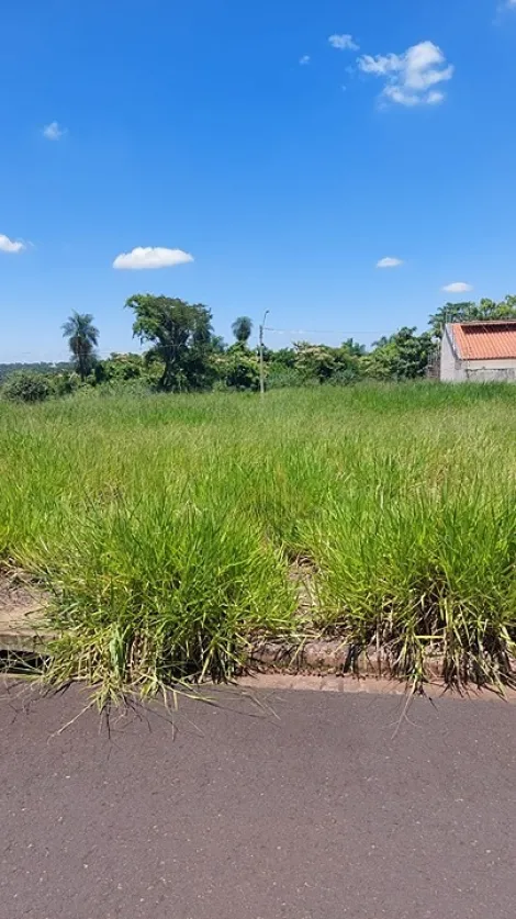 imagem 1 - Terreno - Padrão imagem 1 - Terreno - Padrão