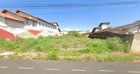 São José do Rio Preto - Universitário - Terreno - Padrão - Venda