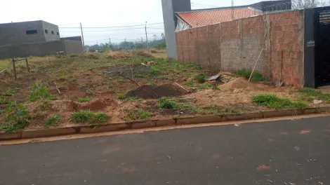 imagem 1 - Terreno - Padrão imagem 1 - Terreno - Padrão