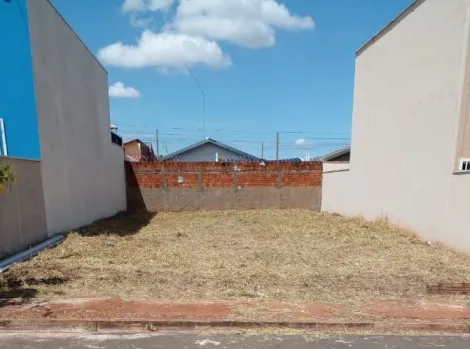 imagem 1 - Terreno - Padrão imagem 1 - Terreno - Padrão