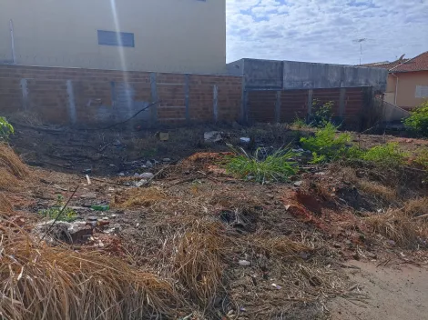 imagem 3 - Terreno - Padrão imagem 3 - Terreno - Padrão