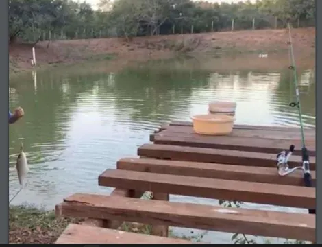 imagem 4 - Chácara - Chácara imagem 4 - Chácara - Chácara