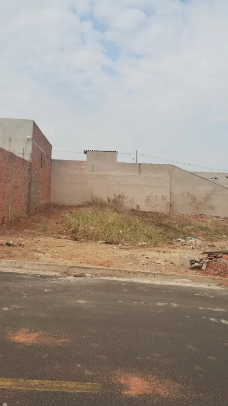 imagem 1 - Terreno - Padrão imagem 1 - Terreno - Padrão