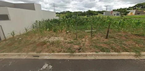 imagem 1 - Terreno - Padrão imagem 1 - Terreno - Padrão