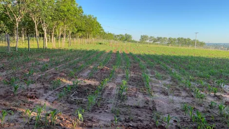 imagem 3 - Rural - Sítio imagem 3 - Rural - Sítio