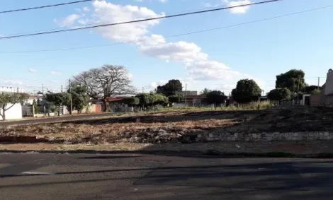 imagem 1 - Terreno - Padrão imagem 1 - Terreno - Padrão