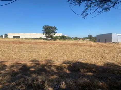 imagem 5 - Terreno - Área imagem 5 - Terreno - Área