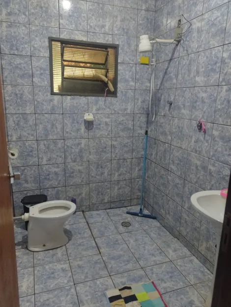imagem 5 - Chácara - Chácara imagem 5 - Chácara - Chácara
