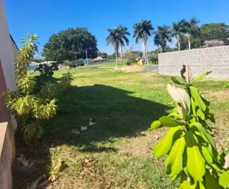 imagem 3 - Terreno vende Condomínio Botanico Bady Bassitt imagem 3 - Terreno vende Condomínio Botanico Bady Bassitt