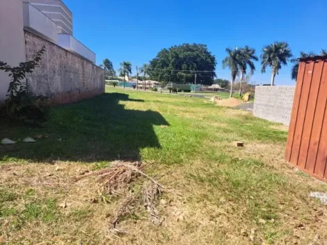 imagem 4 - Terreno vende Condomínio Botanico Bady Bassitt imagem 4 - Terreno vende Condomínio Botanico Bady Bassitt